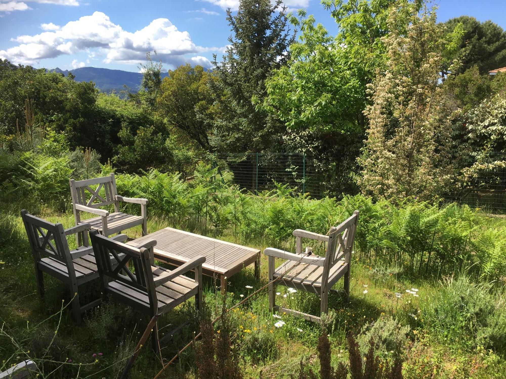 Mountain Corse Odyssee Guest house