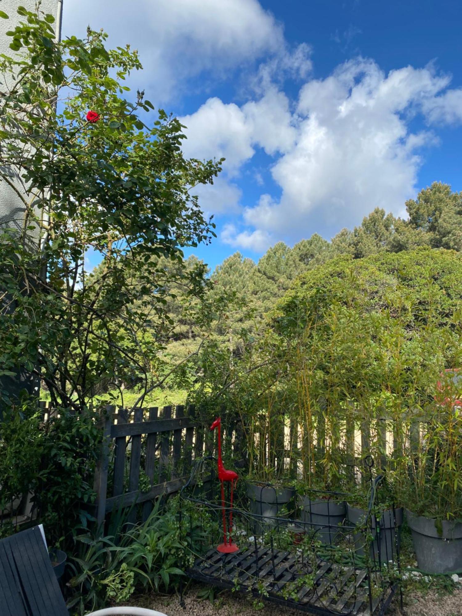 Guest house Mountain Corse Odyssee Quenza