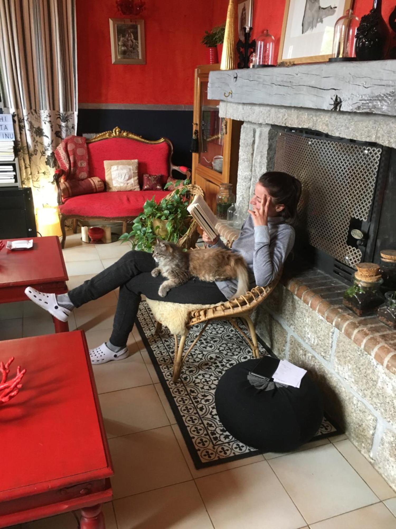 Mountain Corse Odyssee Guest house Quenza