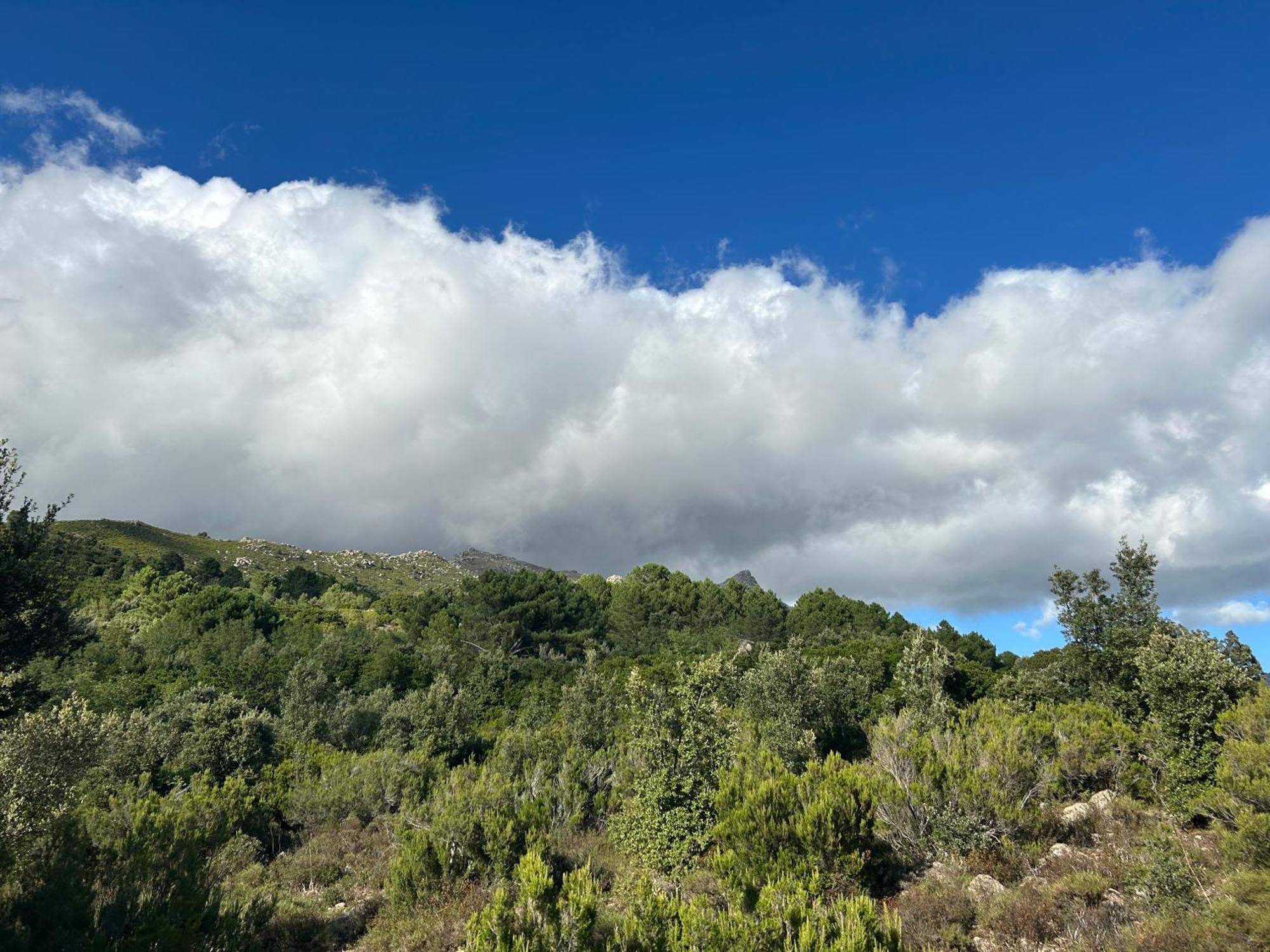 Mountain Corse Odyssee *